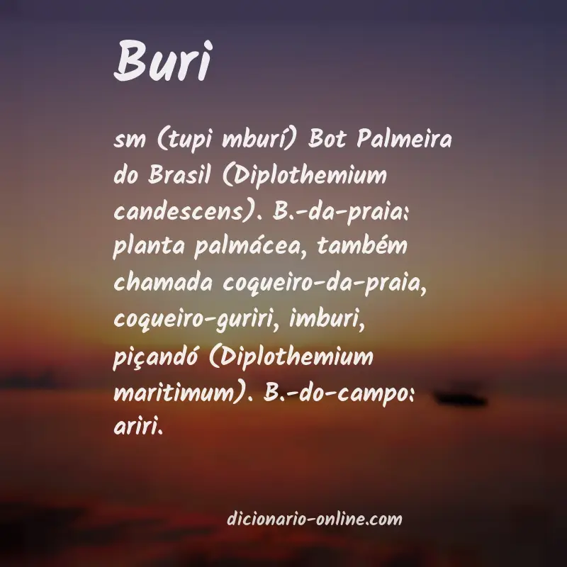 Significado de buri