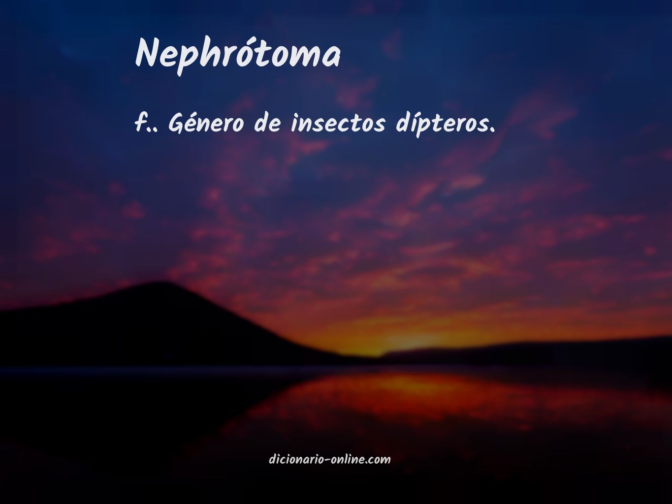 Significado de nephrótoma