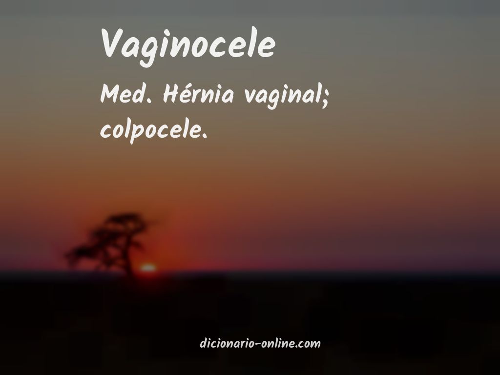 Significado de vaginocele