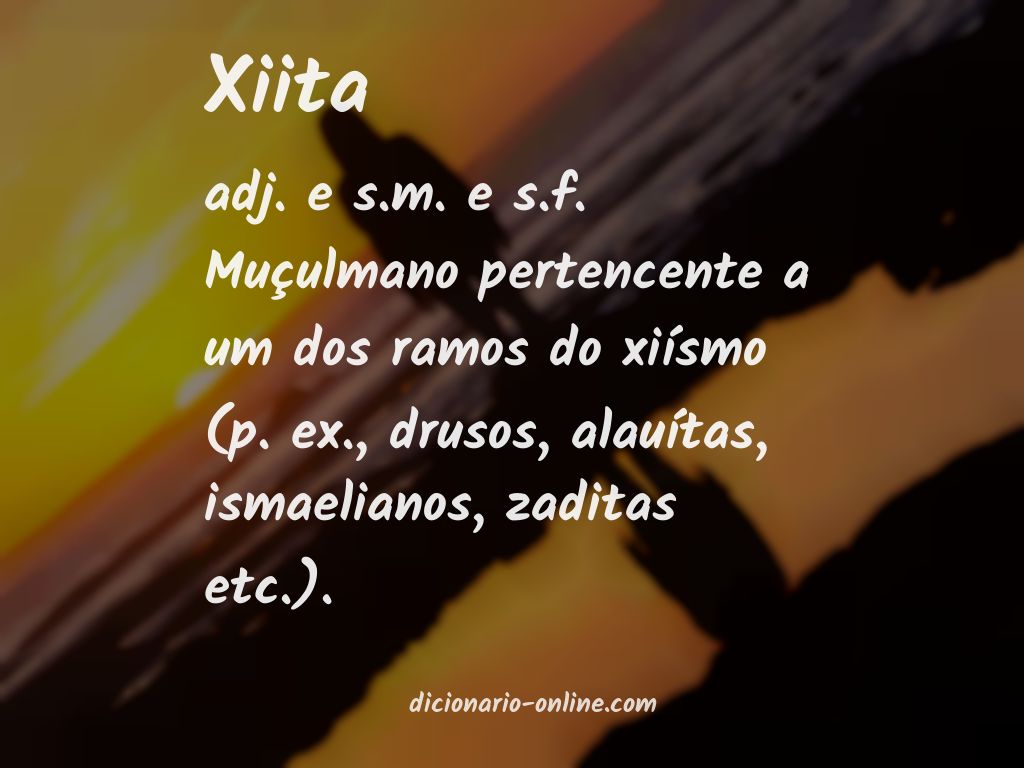 Significado de xiita