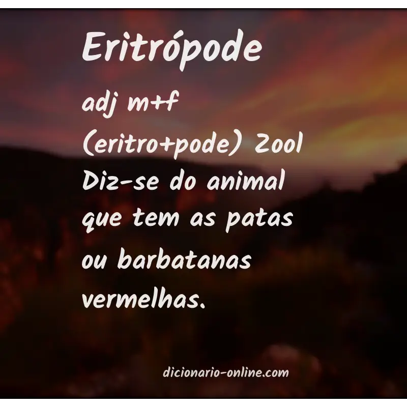 Significado de eritrópode