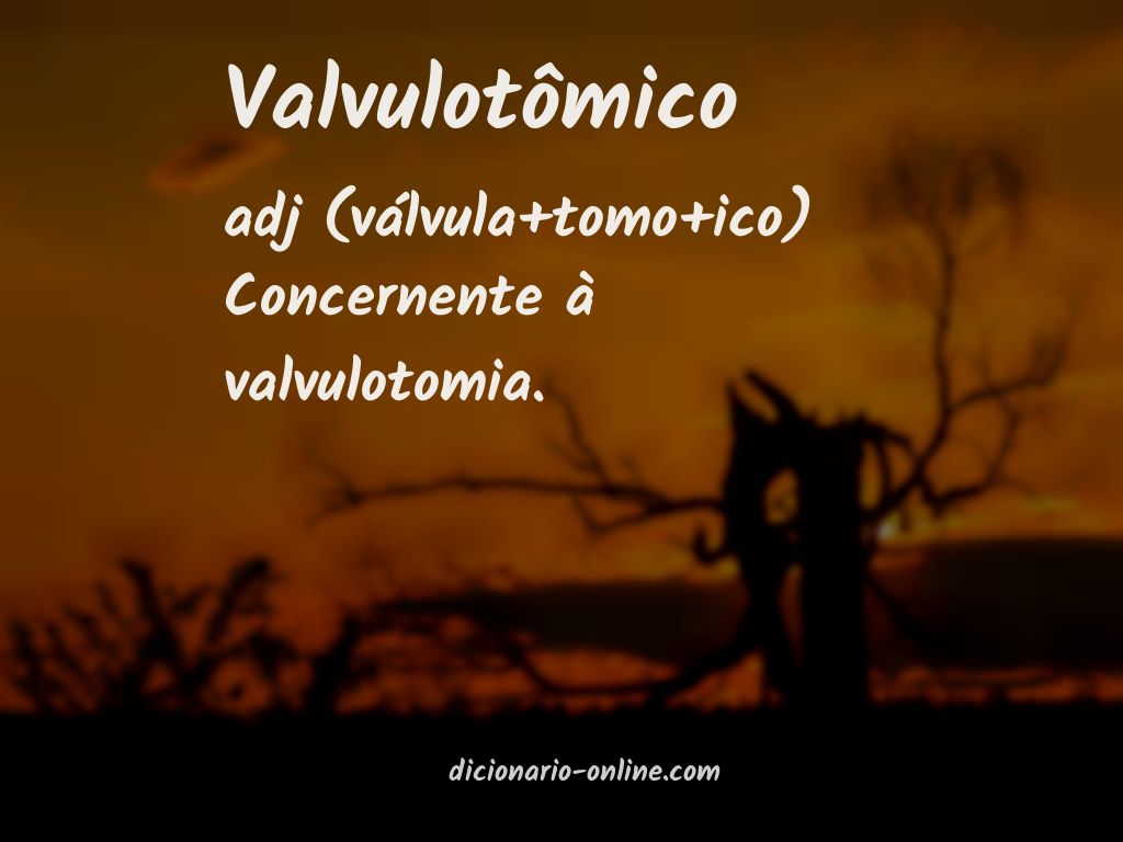 Significado de valvulotômico