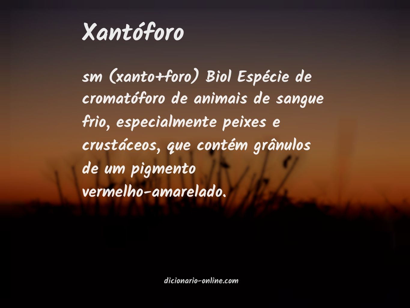 Significado de xantóforo