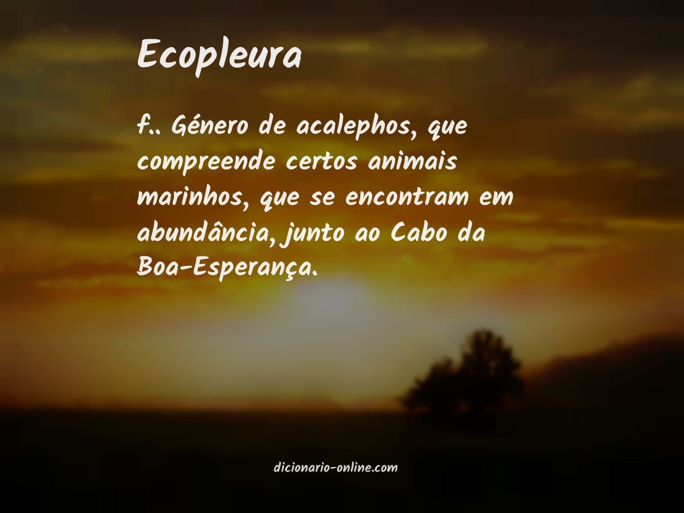 Significado de ecopleura