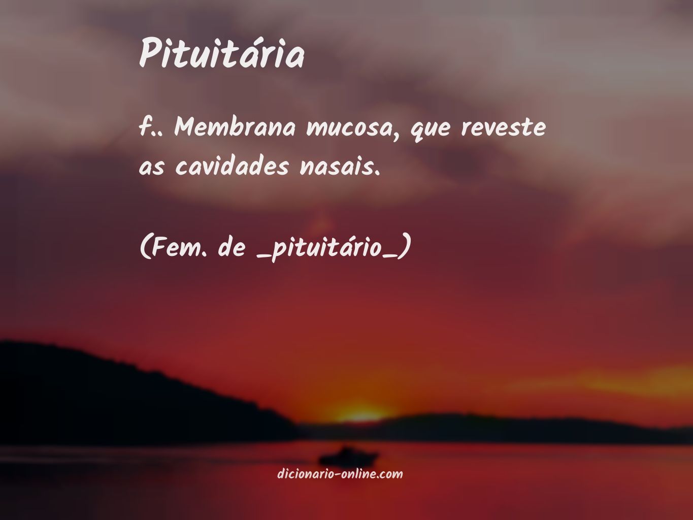 Significado de pituitária