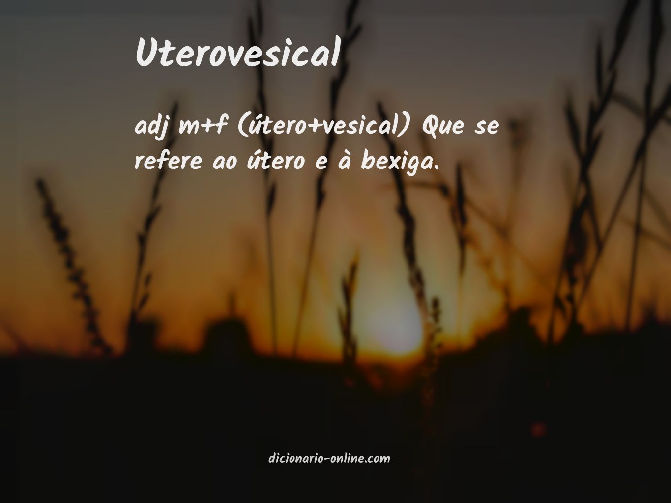 Significado de uterovesical