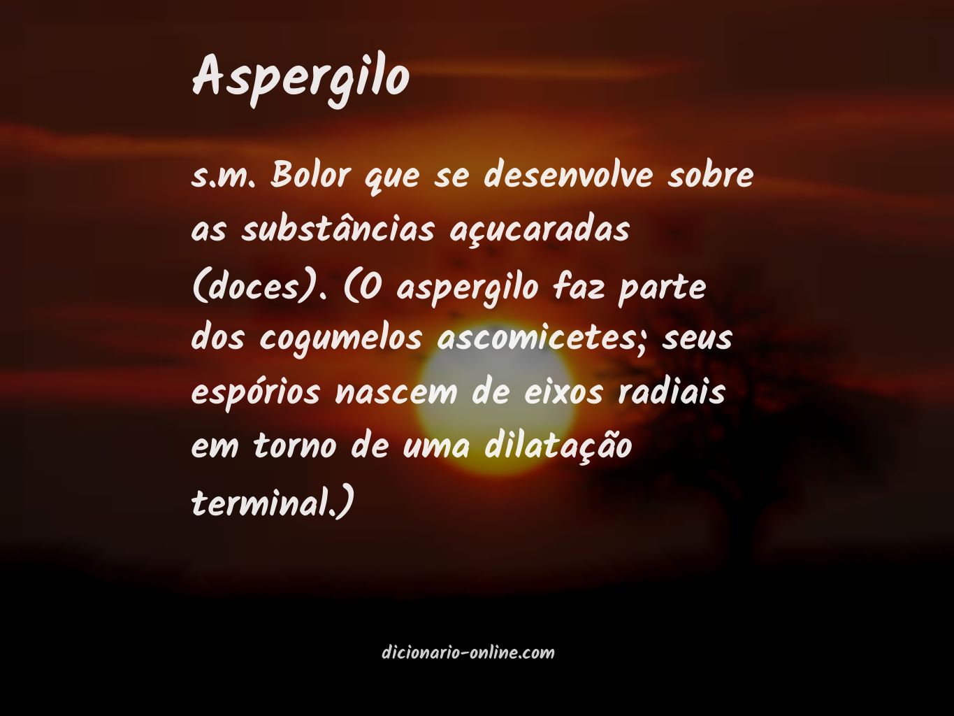 Significado de aspergilo