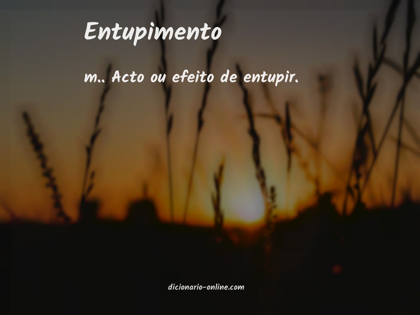 Significado de entupimento