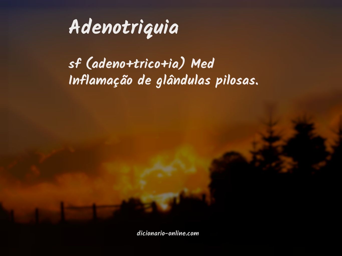 Significado de adenotriquia