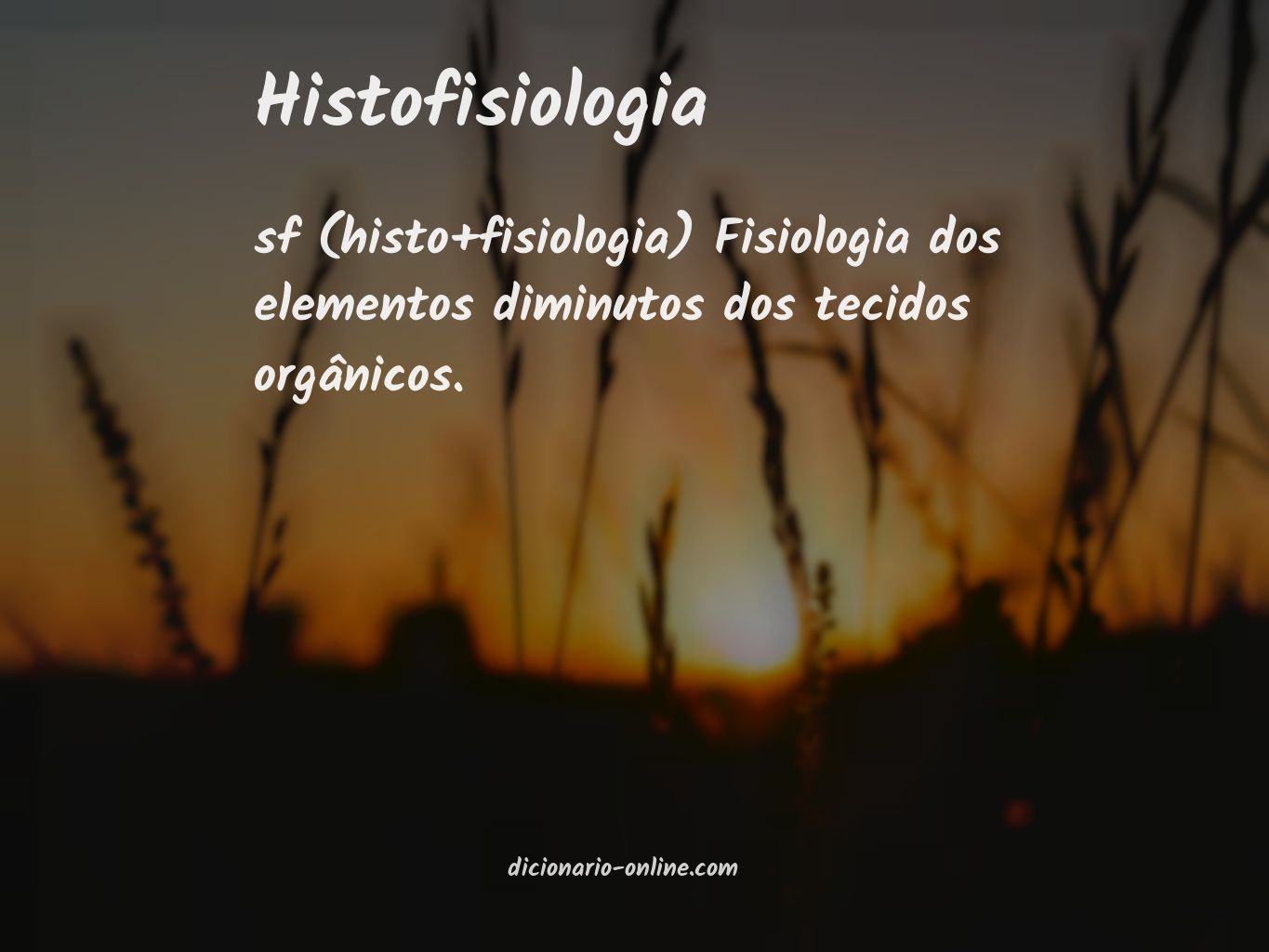 Significado de histofisiologia