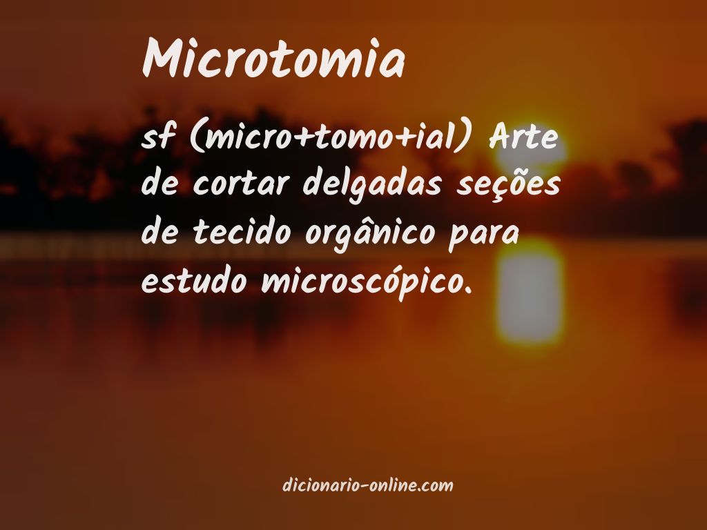Significado de microtomia