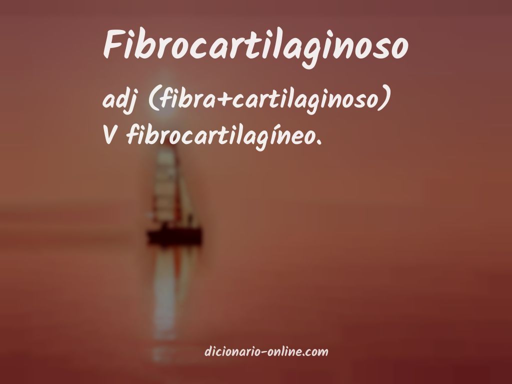 Significado de fibrocartilaginoso