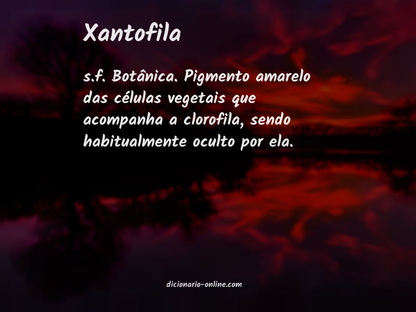 Significado de xantofila