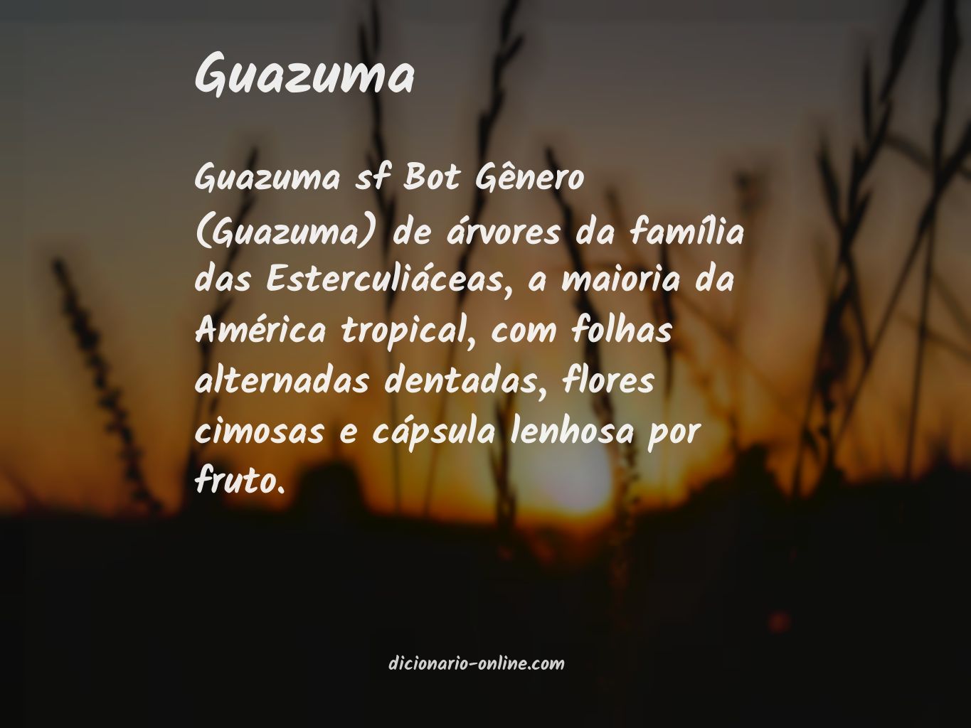 Significado de guazuma