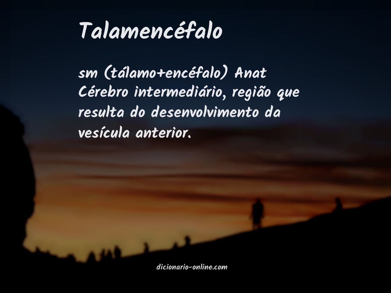 Significado de talamencéfalo