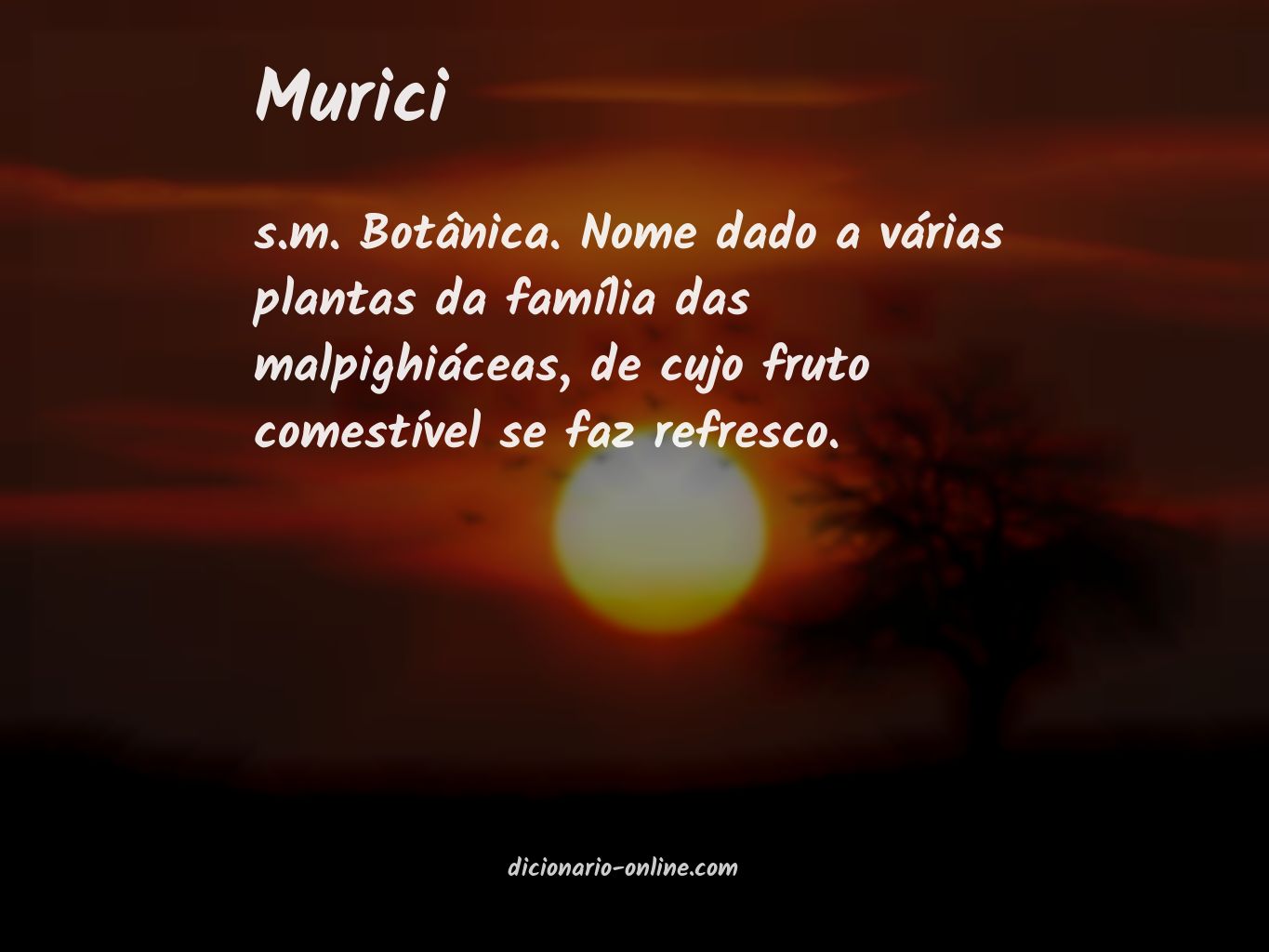 Significado de murici