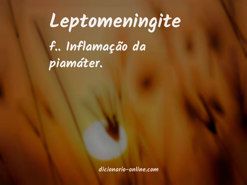 Significado de leptomeningite