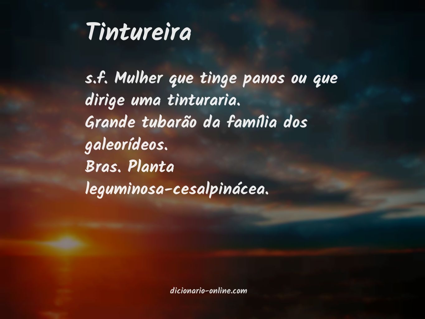 Significado de tintureira