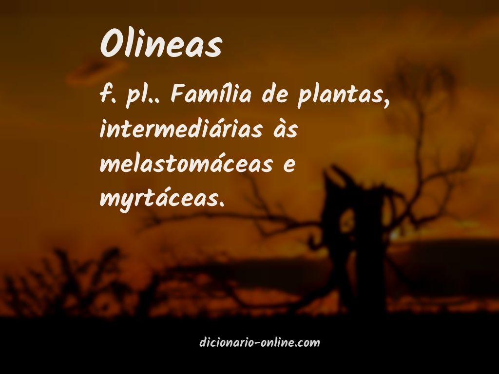 Significado de olineas