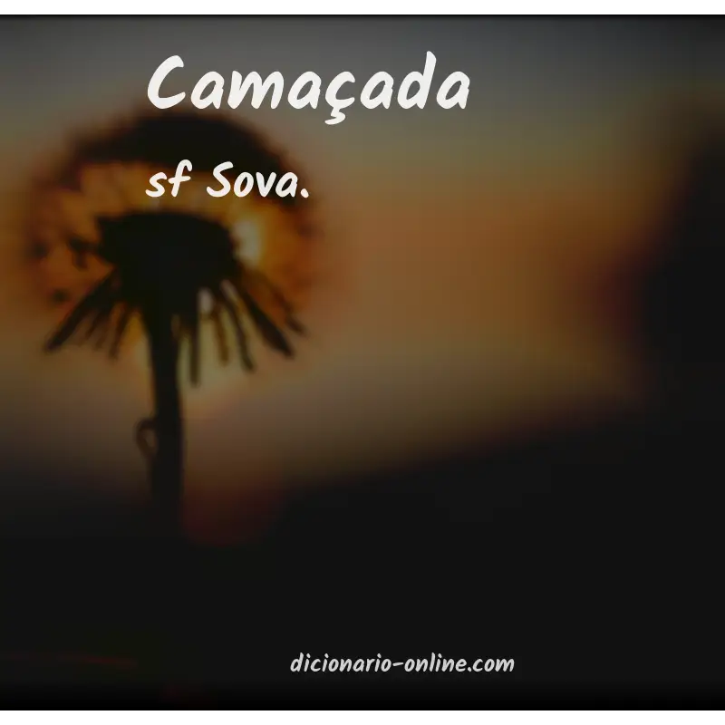 Significado de camaçada