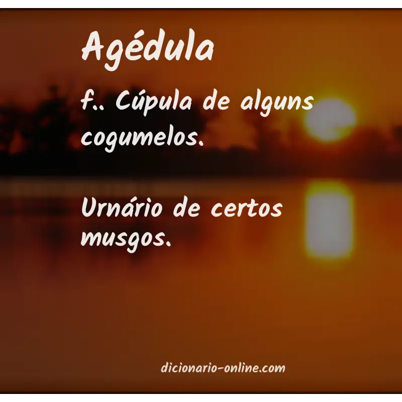 Significado de agédula