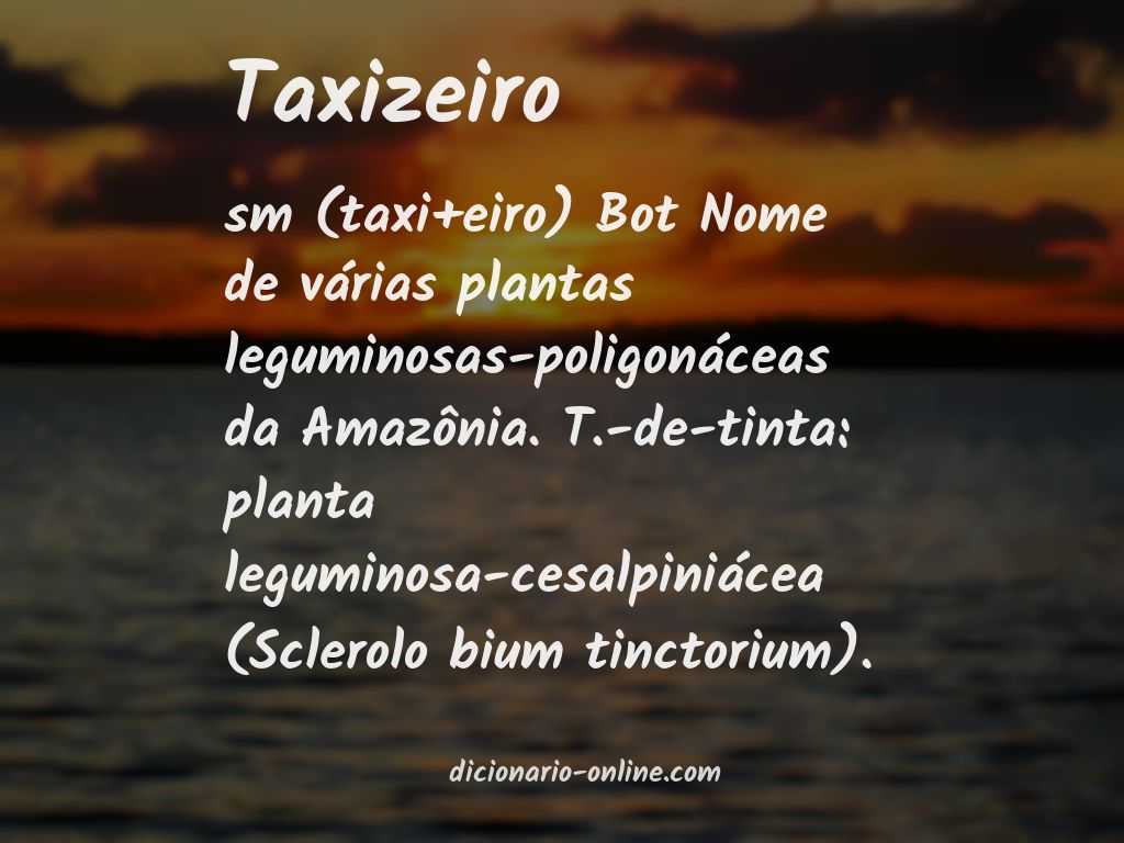 Significado de taxizeiro