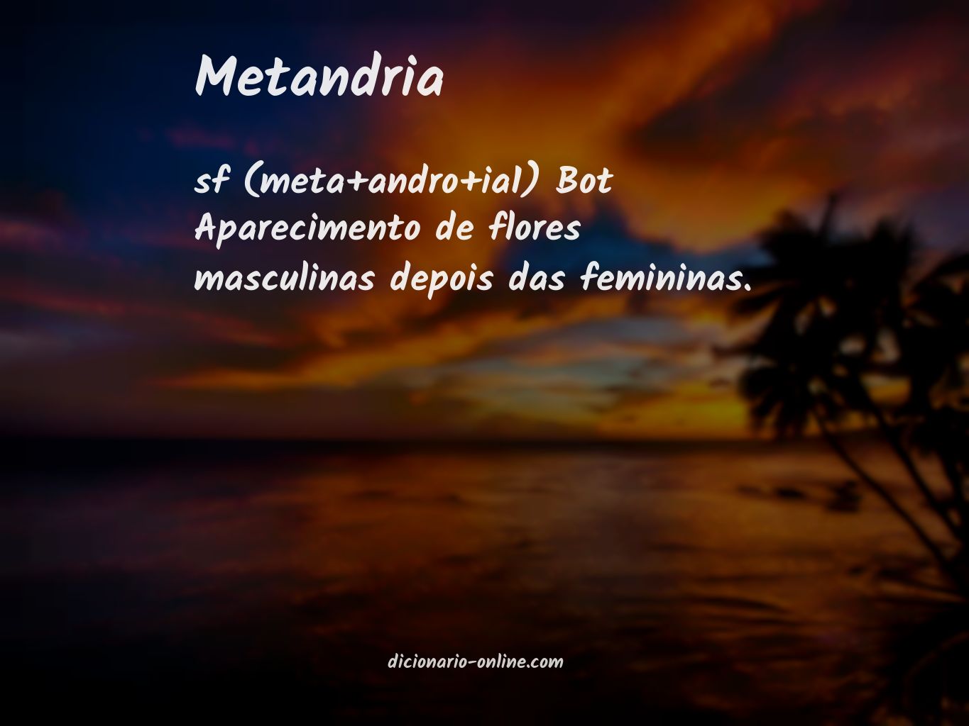 Significado de metandria