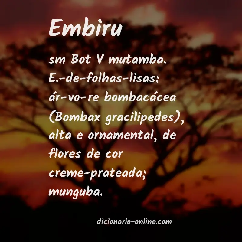 Significado de embiru