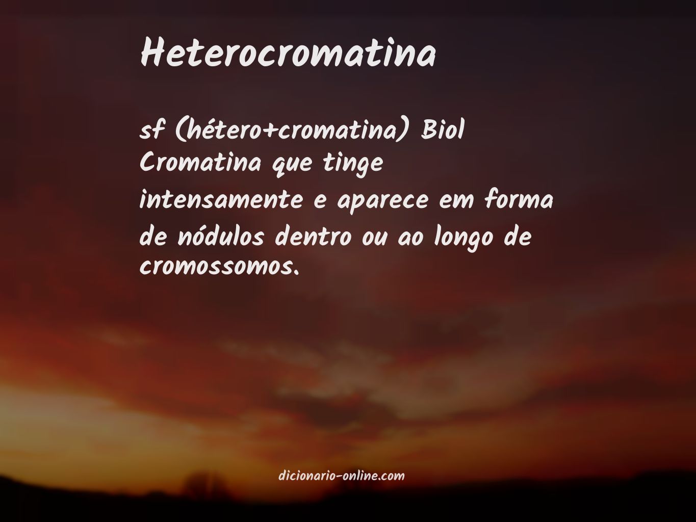 Significado de heterocromatina