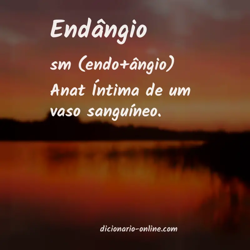 Significado de endângio
