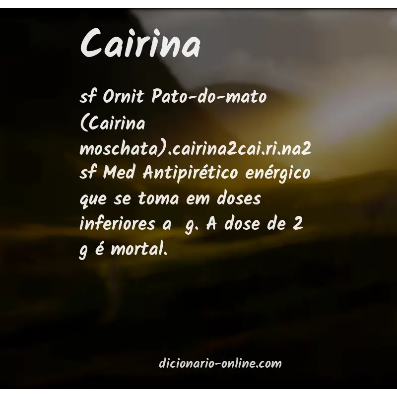Significado de cairina