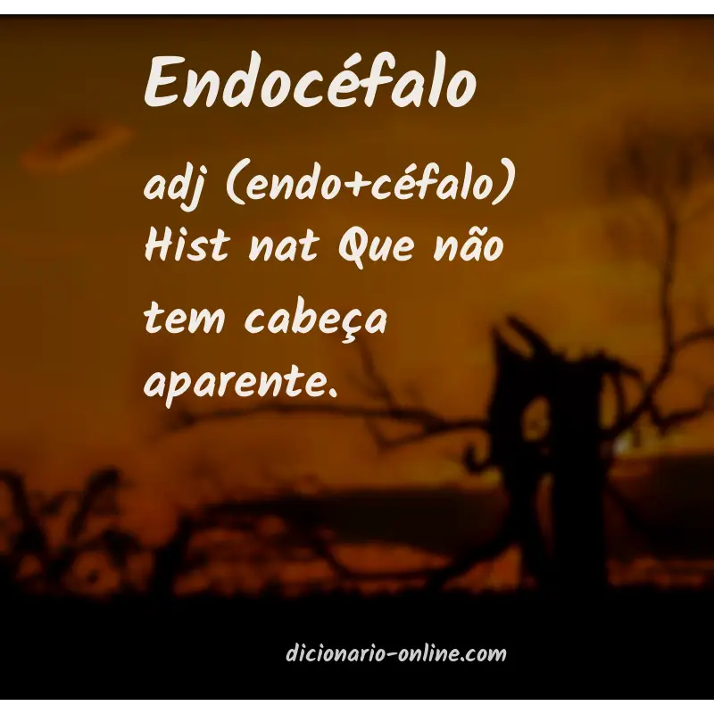 Significado de endocéfalo