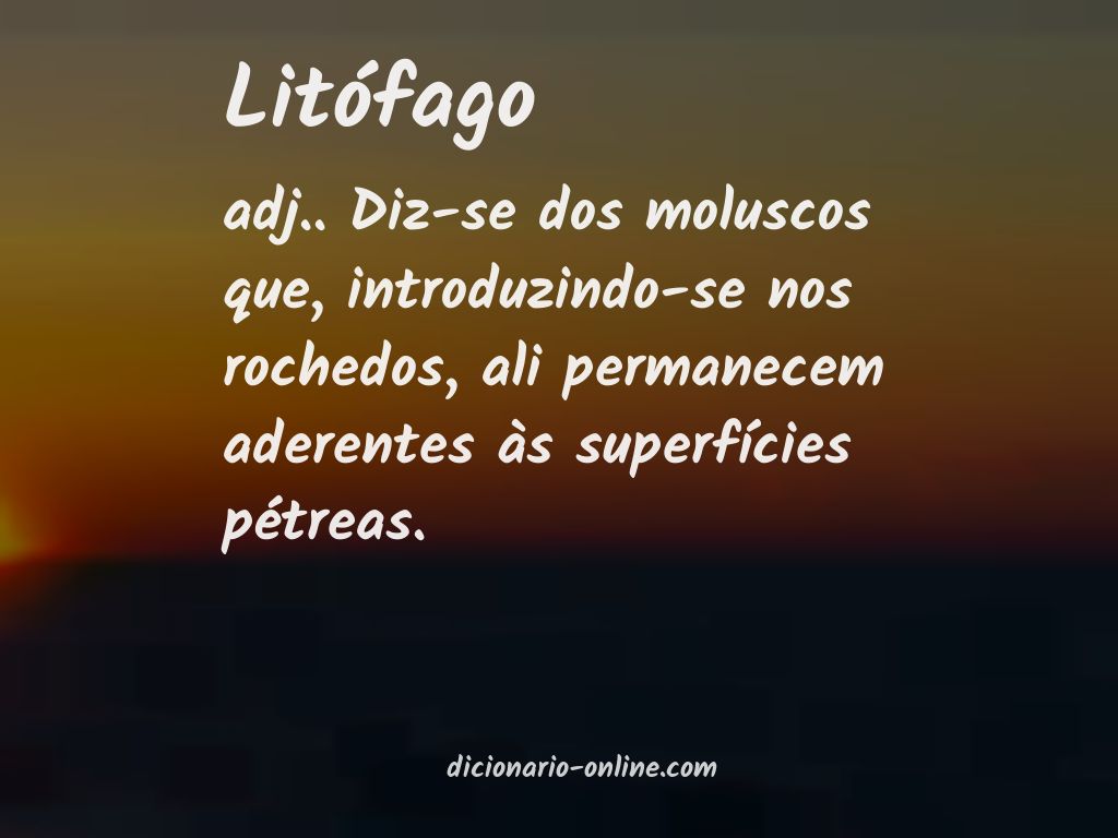 Significado de litófago