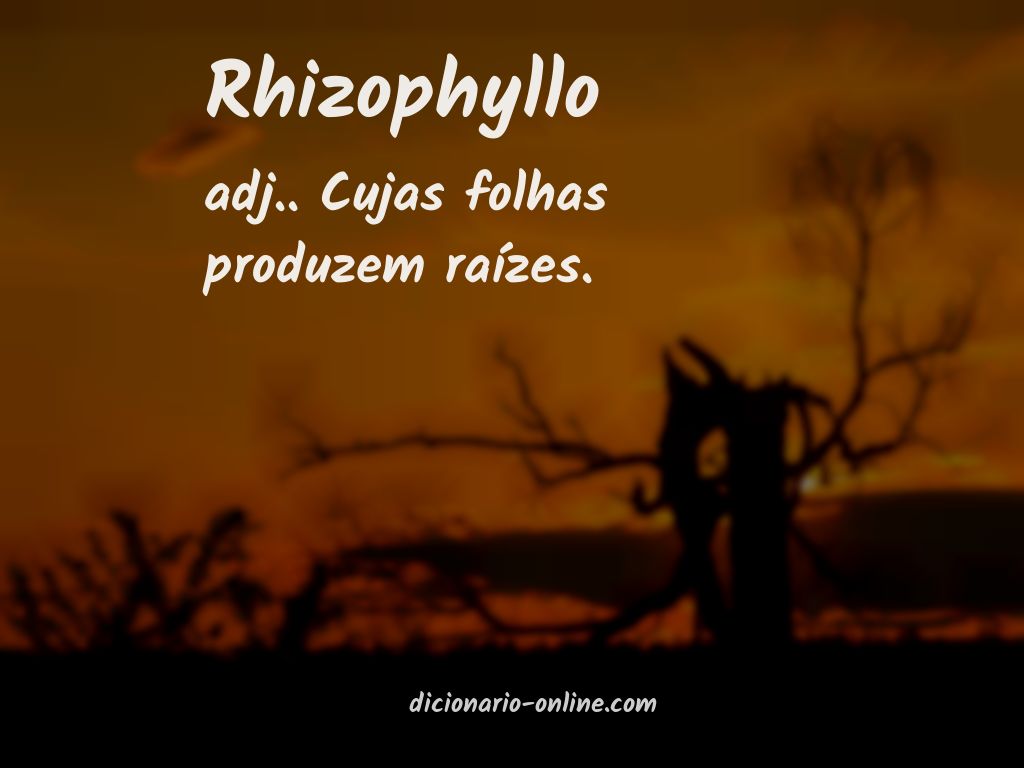 Significado de rhizophyllo