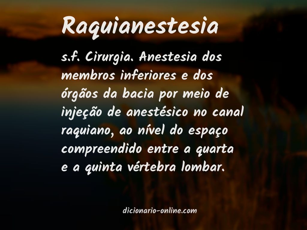 Significado de raquianestesia