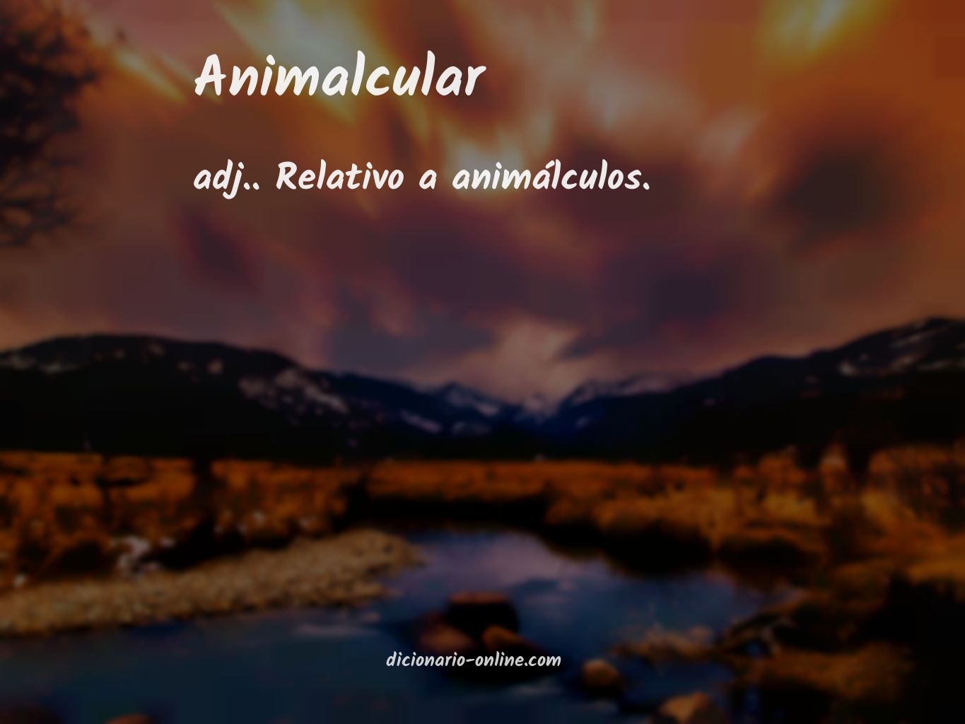 Significado de animalcular