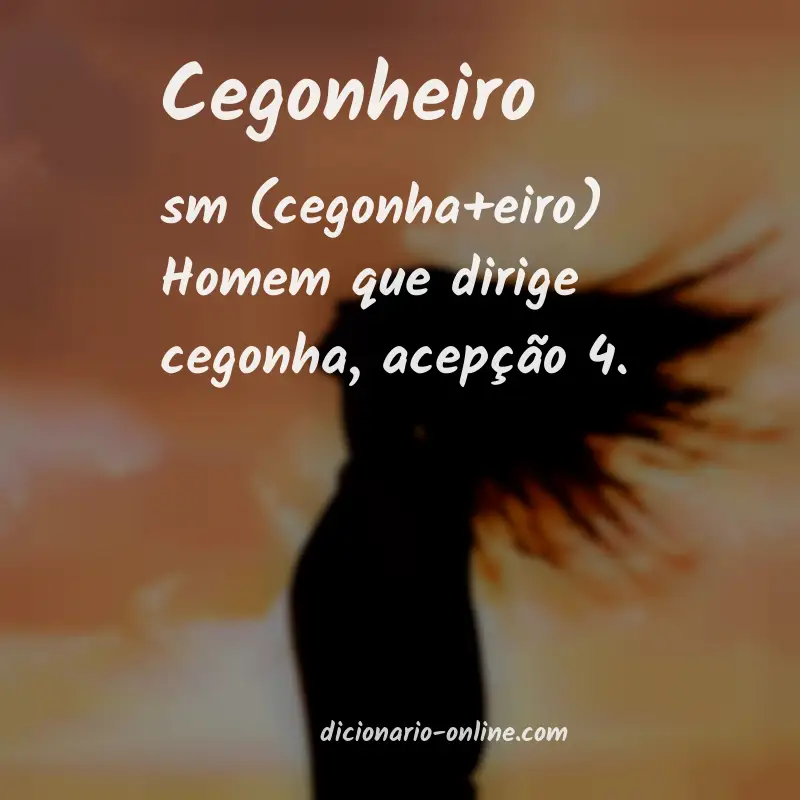 Significado de cegonheiro