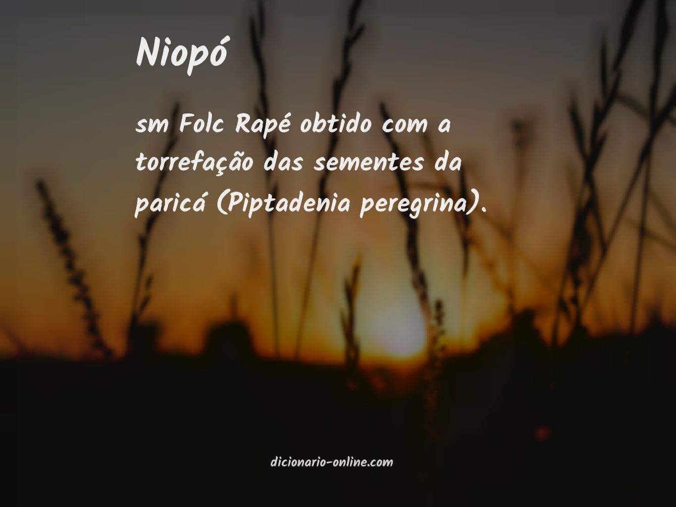 Significado de niopó