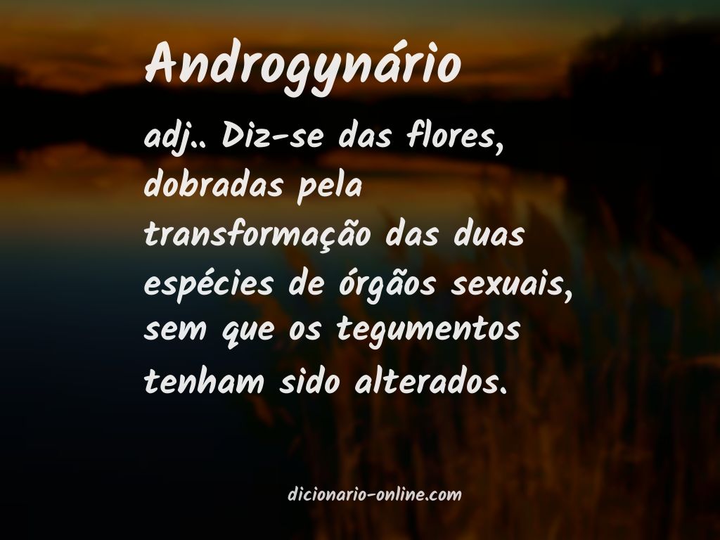 Significado de androgynário