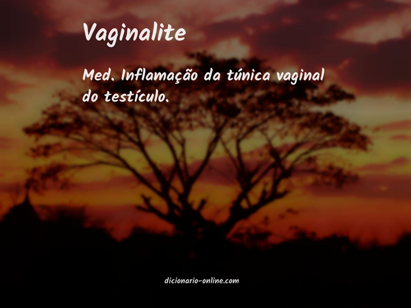 Significado de vaginalite