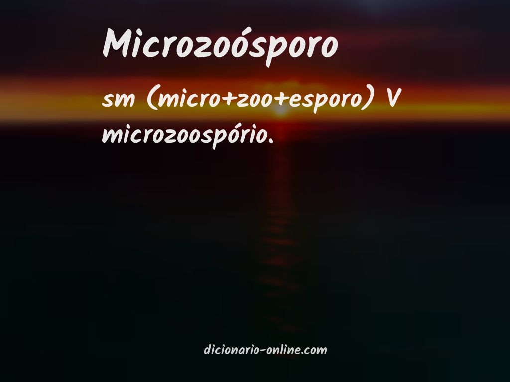 Significado de microzoósporo
