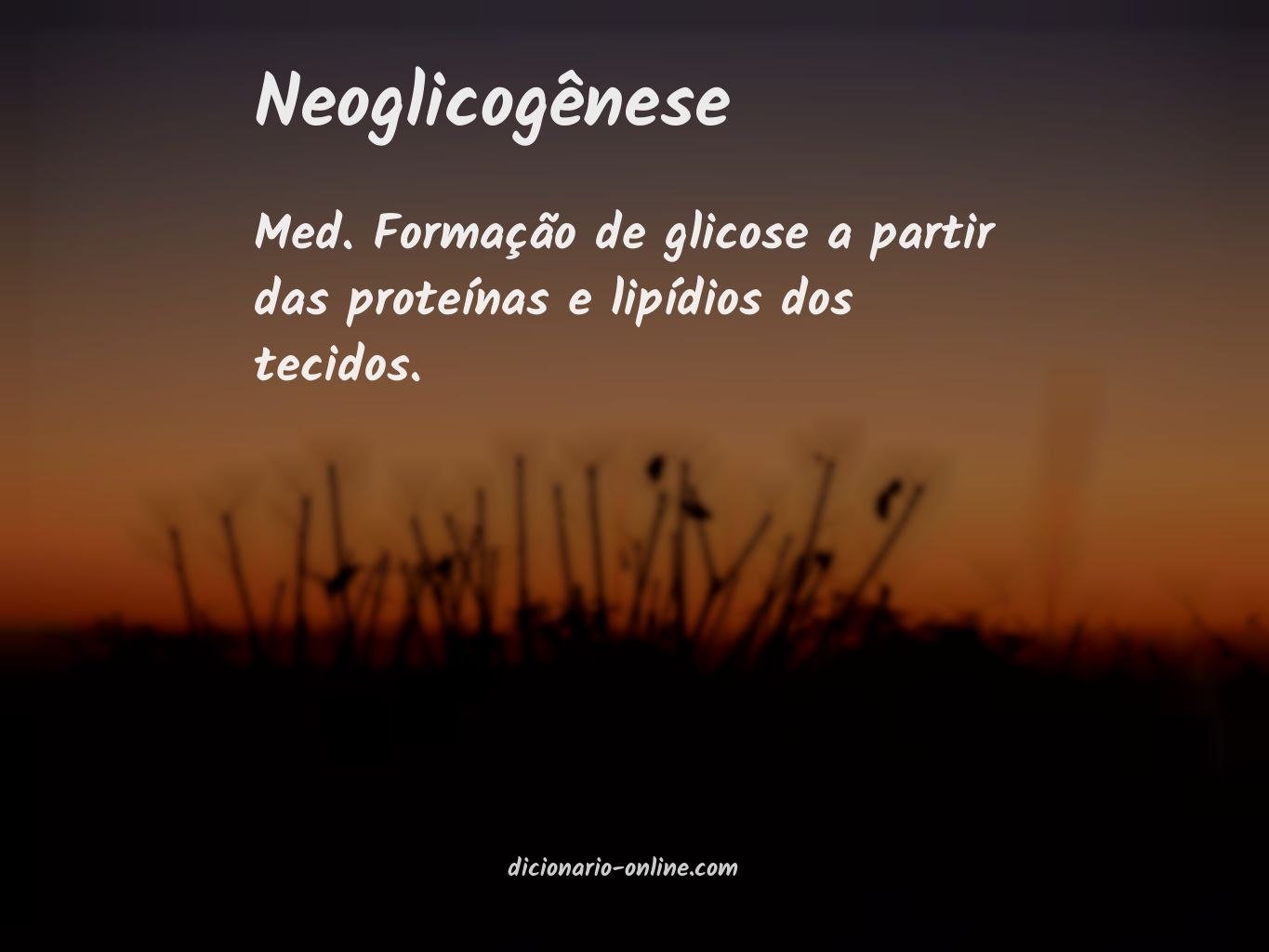 Significado de neoglicogênese