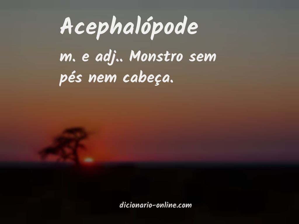 Significado de acephalópode