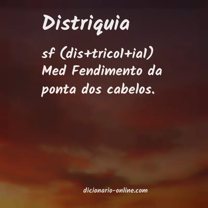 Significado de distriquia