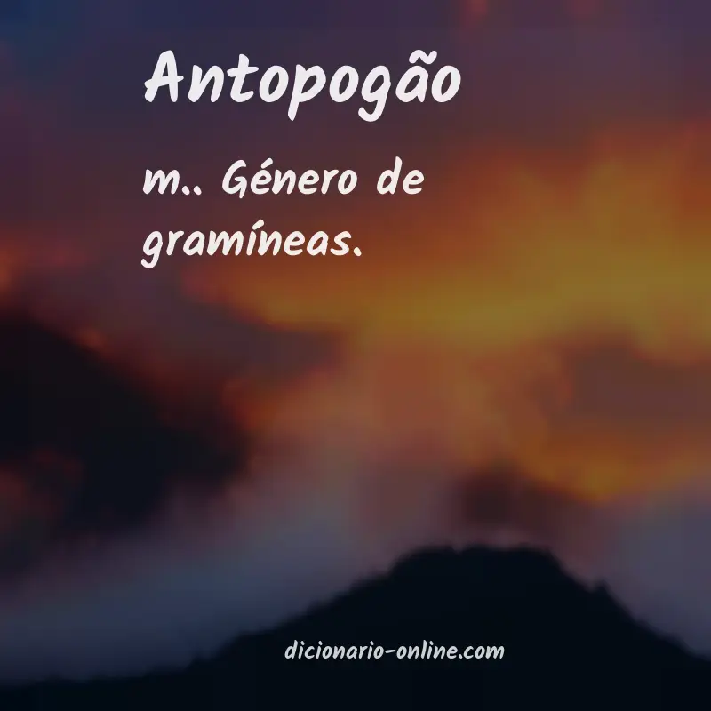 Significado de antopogão