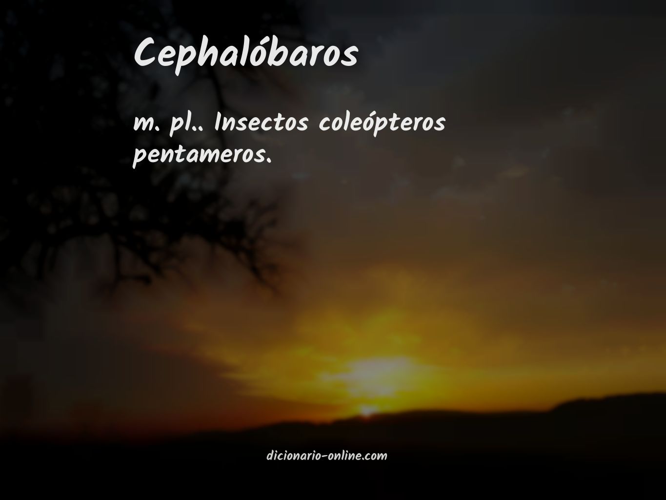 Significado de cephalóbaros