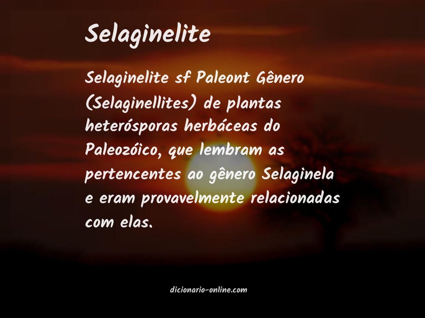 Significado de selaginelite