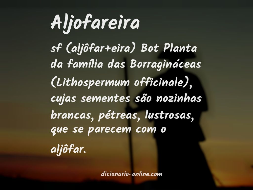 Significado de aljofareira