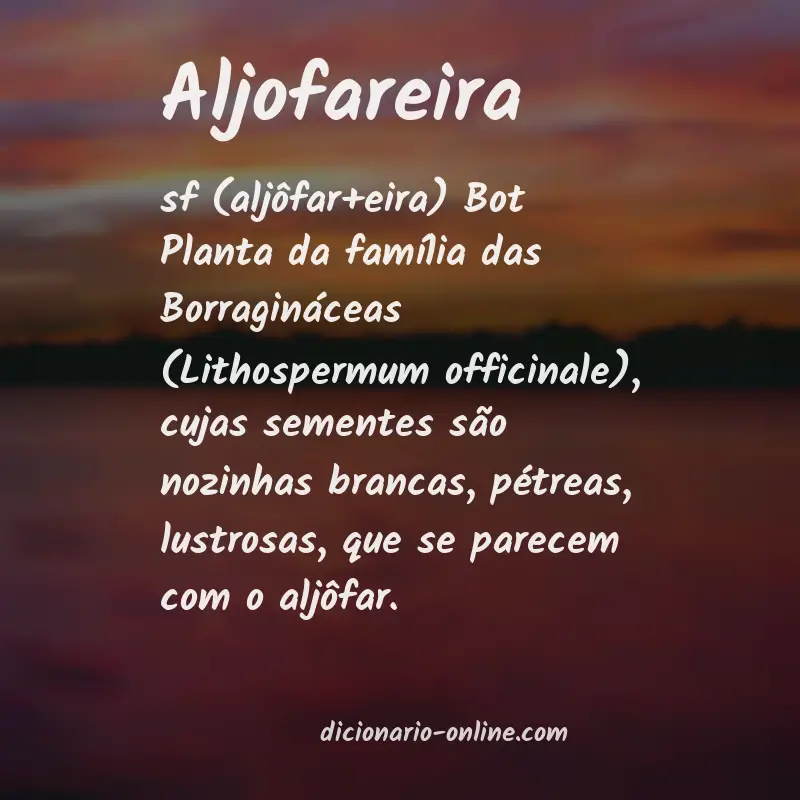 Significado de aljofareira