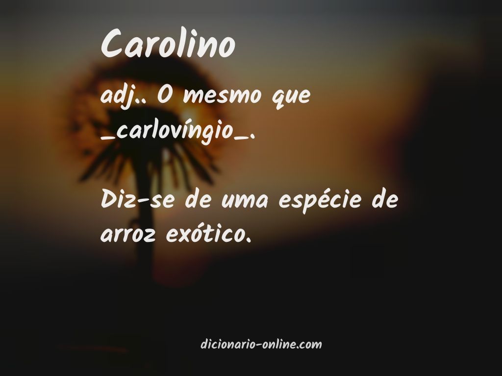 Significado de carolino